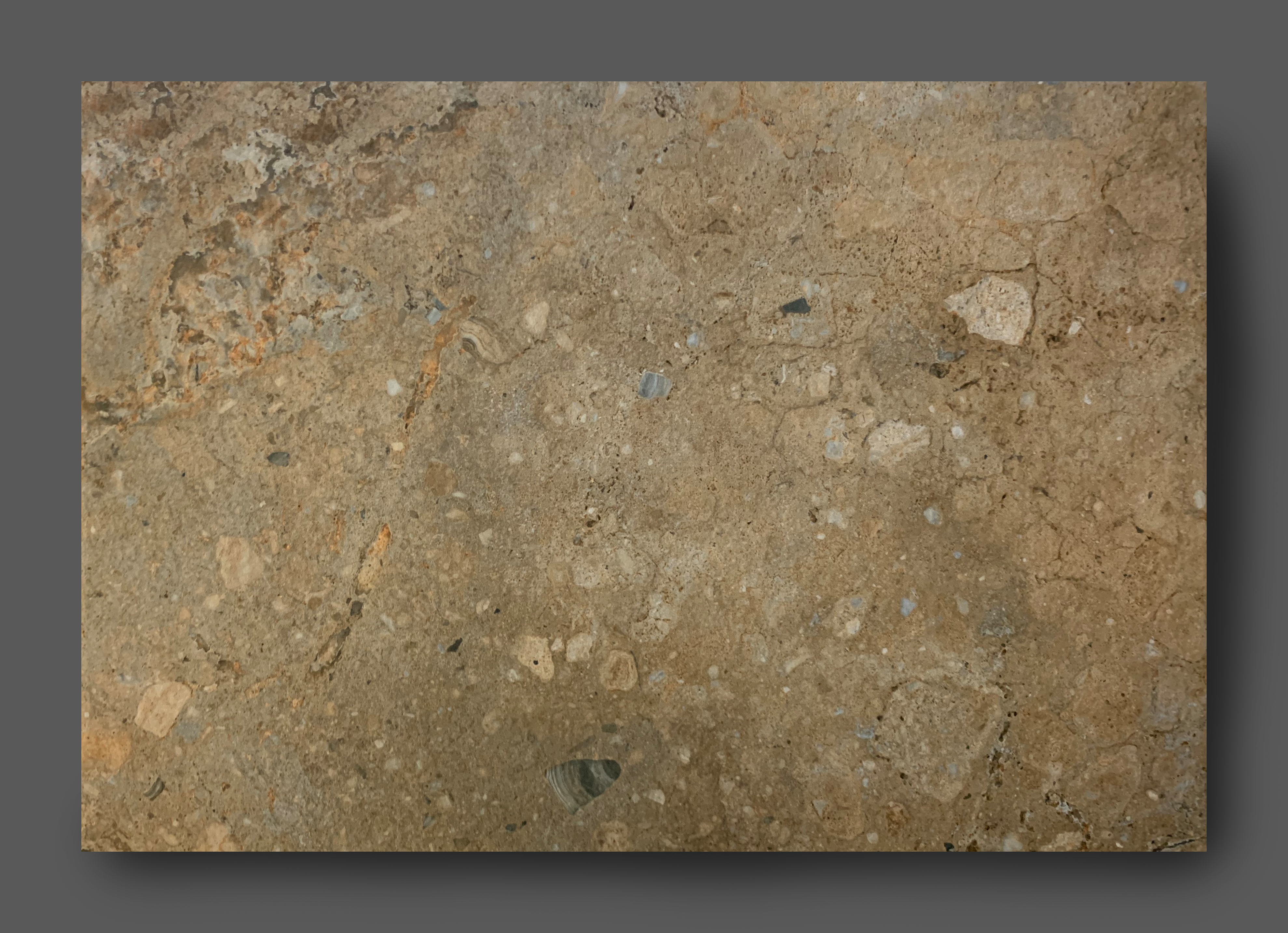 Artefact kroeg Mauve Vloertegel 45x65 cm natuursteenlook bruin Kerberos - Restpartij kopen