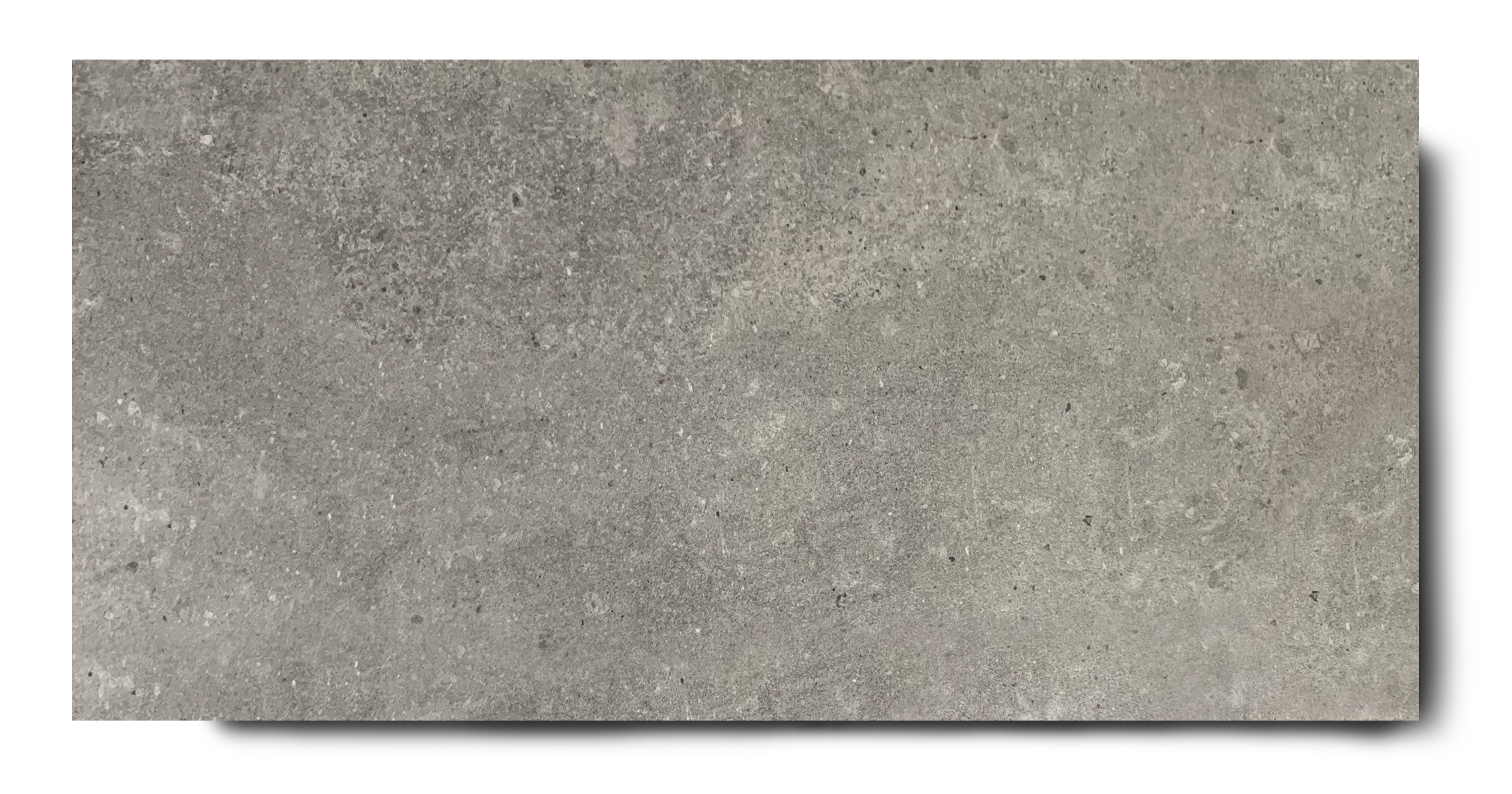 speer zwaan Ramkoers Vloertegel 60x120 cm betonlook grijs C26 | RB Tegels Tiel
