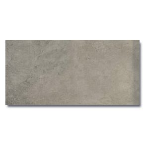 Vloertegel 60x120 cm Betonlook Merci licht grijs R26