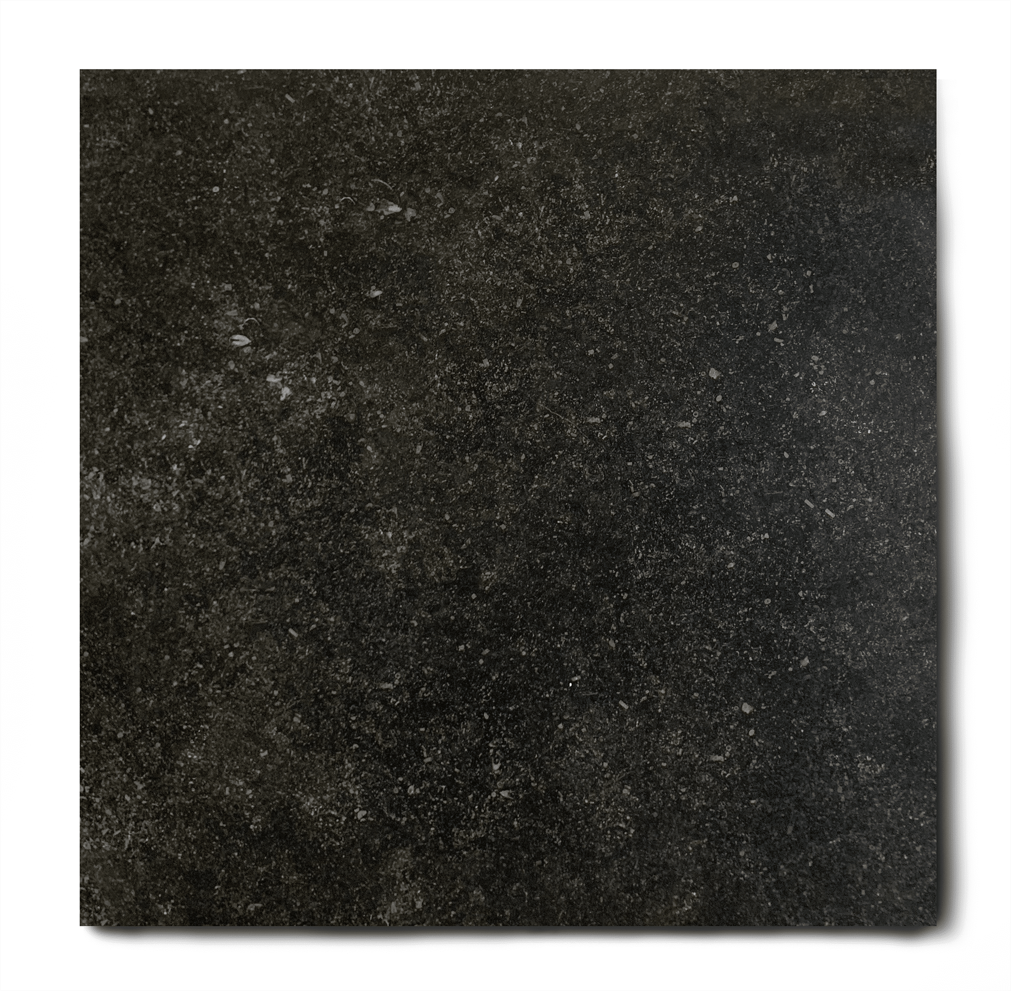 links Hesje In de naam Vloertegel 80x80 cm natuursteen look belgisch hardsteen zwart E12